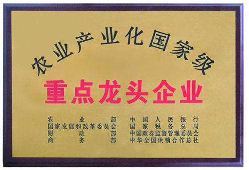 國家級(jí)農(nóng)業(yè)產(chǎn)業(yè)化重點(diǎn)龍頭企業(yè)