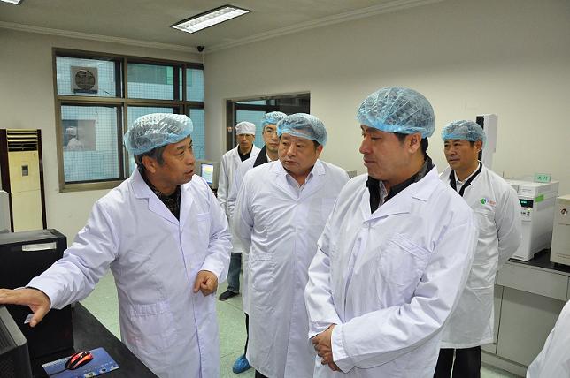 河北省政府副省長張杰輝來藥都集團視察指導(dǎo)工作