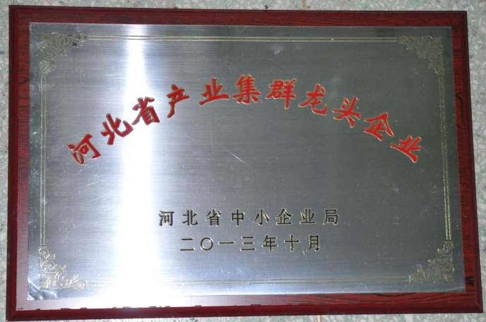 藥都集團(tuán)被評為“河北省產(chǎn)業(yè)集群龍頭企業(yè)”